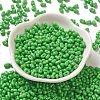 Baking Paint Glass Seed Beads SEED-K009-01A-15-2