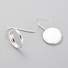 304 Stainless Steel Earring Hooks STAS-F227-22C-S-2