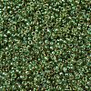 MIYUKI Round Rocailles Beads SEED-G007-RR0375-3