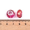 Baking Paint Transparent Glass European Beads GPDL-N004-C14mm-A03-3