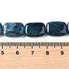 Natural Apatite Beads Strands G-Q026-B01-02-5