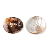 2-Hole Mother of Pearl Buttons SHEL-T012-43C-2