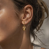 304 Stainless Steel Hoop Dangle Earrings for Women WG157E2-02-1