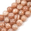 Natural Sunstone Beads Strands G-G342-A02-10.5mm-2