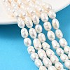 Natural Cultured Freshwater Pearl Beads Strands PEAR-I007-01D-04A-1