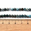 Natural Apatite Beads Strands G-A276-C08-4mm-01-5