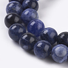 Natural Sodalite Beads Strands G-E110-8mm-3-3