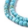 Natural Howlite Beads Strands G-H025-04B-4
