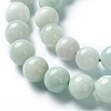 Natural Jadeite Beads Strands G-L568-001A-1