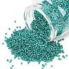 MIYUKI Delica Beads X-SEED-J020-DB2506-1