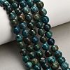 Natural Chrysocolla Beads Strands G-G475-A03-8mm-1