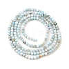 Natural Larimar Beads Strands G-G259-D13-2mm-3