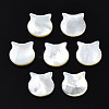 Natural White Shell Beads SSHEL-S258-99B-2