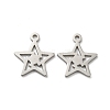 Non-Tarnish 304 Stainless Steel Charms LS-STAS-L022-035P-1