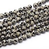 Natural Dalmatian Jasper Round Bead Strands X-G-J303-19-8mm-1