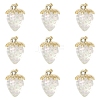 10Pcs Transparent Acrylic Pendants MACR-FS0002-08A-1