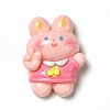 Cartoon Opaque Resin Cabochons LS-RESI-C030-02D-1