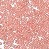 Glass Seed Beads X1-SEED-H002-E-A1405-3