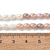 Natural Cultured Freshwater Pearl Beads Strands PEAR-C004-14B-5