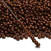 TOHO 6/0 Round Beads SEED-TR06-0618-2