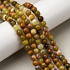 Natural Green Opal Beads Strands G-K245-A17-A02-01-5