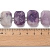 Natural Lepidolite Beads Strands G-H078-B14-01-5