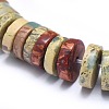 Natural Aqua Terra Jasper Beads Strands G-I213-08-10mm-3