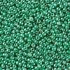 TOHO Round Seed Beads X-SEED-TR11-0561-2