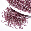 Glass Seed Beads X-SEED-S042-07A-04-1