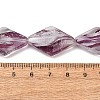 Transparent Handmade Lampwork Beads LA-CBAF0C8-02G-3