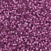 MIYUKI Delica Beads X-SEED-J020-DB2181-3