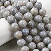 Natural Gemstone Beads Strands G-L641-A01-05-1