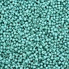 13/0 Glass Seed Beads SEED-T005-14A-A14-3