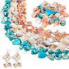 6 Strands 3 Colors Natural Freshwater Shell Dyed Beads Strands SHEL-PH0001-60-1