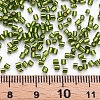 Glass Bugle Beads SEED-S032-08A-55A-4