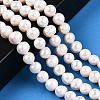 Natural Cultured Freshwater Pearl Beads Strands PEAR-N013-17N-01-2