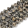 Natural Dalmatian Jasper Beads Strands G-A257-A17-01-1