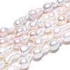 Natural Baroque Pearl Keshi Pearl Beads Strands X1-PEAR-S020-F10-02-3