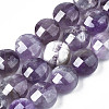 Natural Amethyst Beads Strands G-S359-371-1