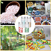 24Pcs Clear Glass Bottles Bead Containers CON-SC0001-09A-6