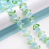 Transparent Glass Beads Strands LAMP-H061-02I-2