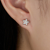 Star Rhodium Plated 925 Sterling Silver Stud Earrings MB4545-2-3