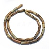 Natural Picture Jasper Beads Strands G-F631-D04-02-2