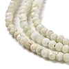 Natural Green Opal Beads Strands G-Z035-A02-01A-4