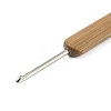 11Pcs Iron Crochet Hooks AJEW-C041-03-2