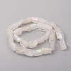 Electroplated Natural Quartz Crystal Beads Strands G-D0009-01B-08-2