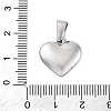 304 Stainless Steel Pendants STAS-P278-01S-P-1-3