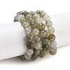 Natural Labradorite Bead Strands G-O155-05B-4mm-3