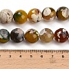 Natural Fire Crackle Agate(Dyed & Heated) Beads Strands G-K425-A02-14mm-5