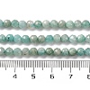 Natural Amazonite Beads Strands G-G140-A18-03-A-3